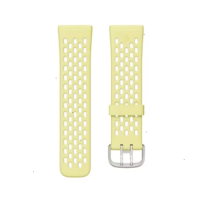 Fitbit Smartwatch Sport Accessory Frost White Large